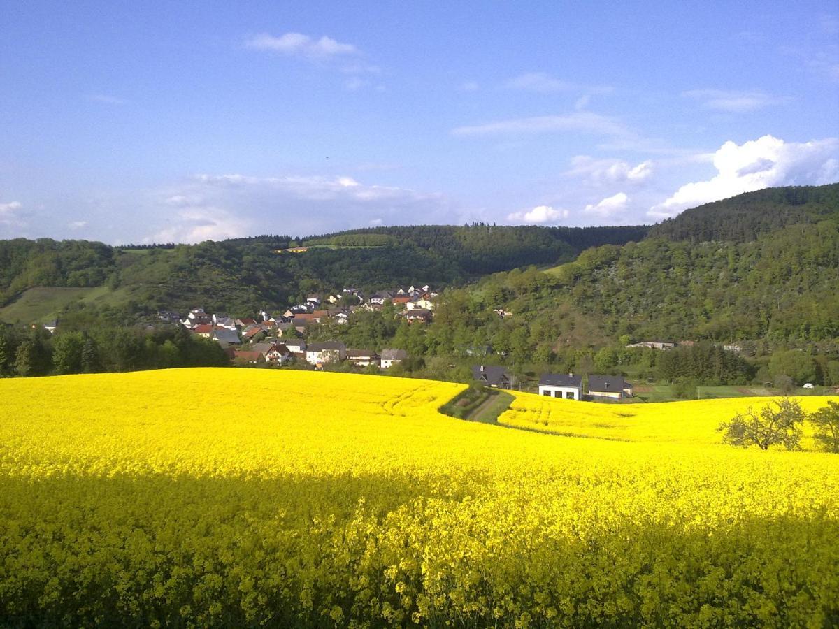 Ferienwohnungen Naheliebe Im Hunsrueck & Naheland Bärenbach Extérieur photo
