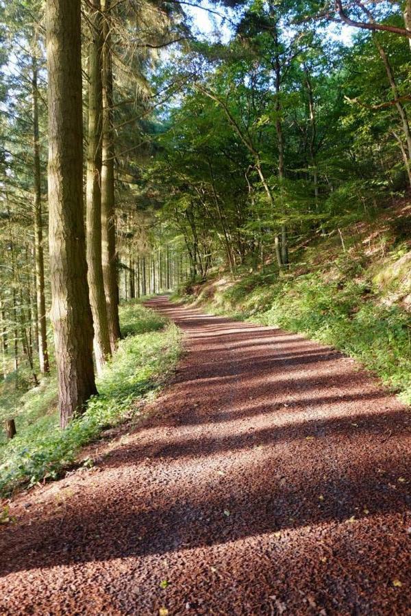 Ferienwohnungen Naheliebe Im Hunsrueck & Naheland Bärenbach Extérieur photo